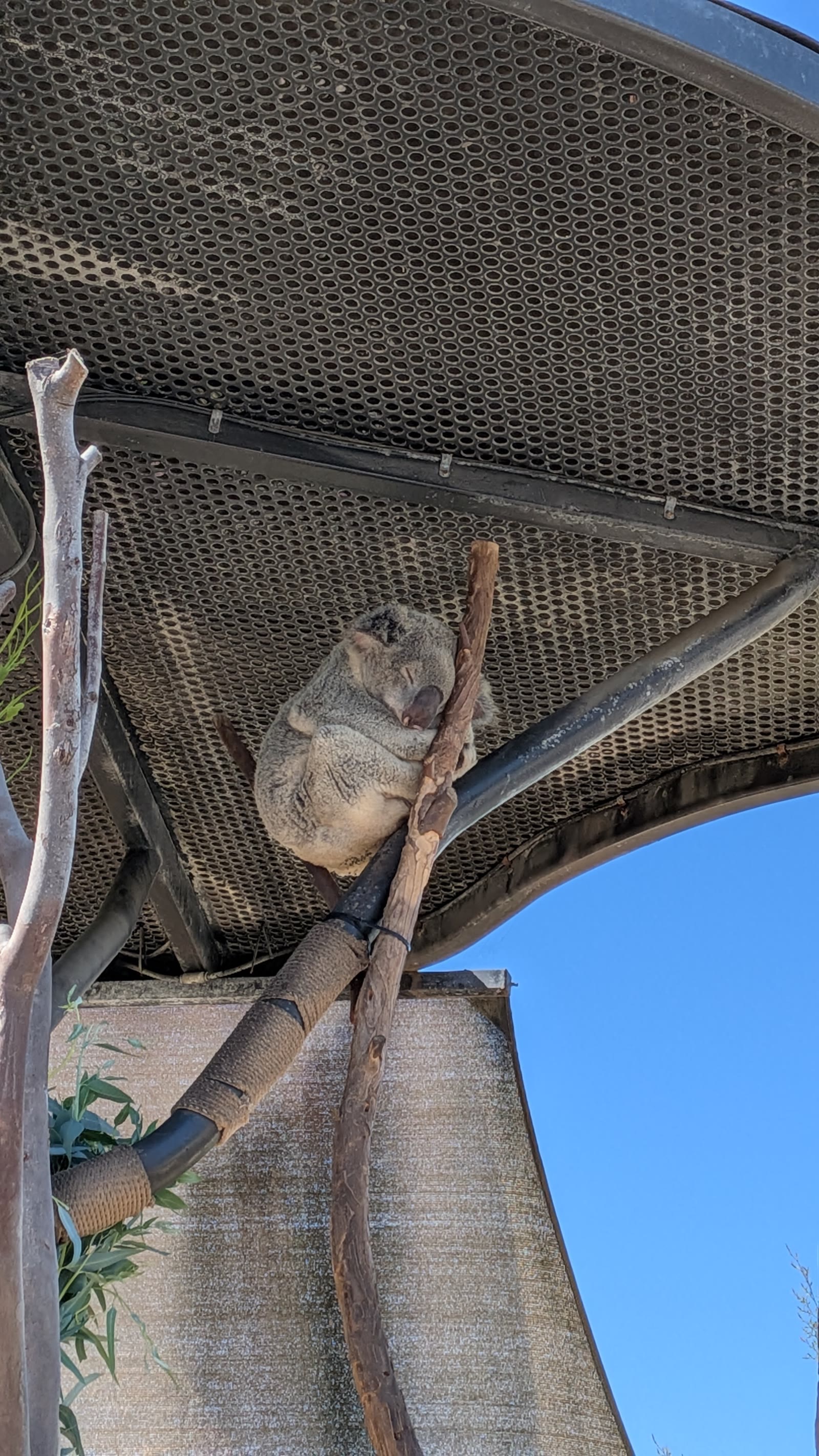Zoo