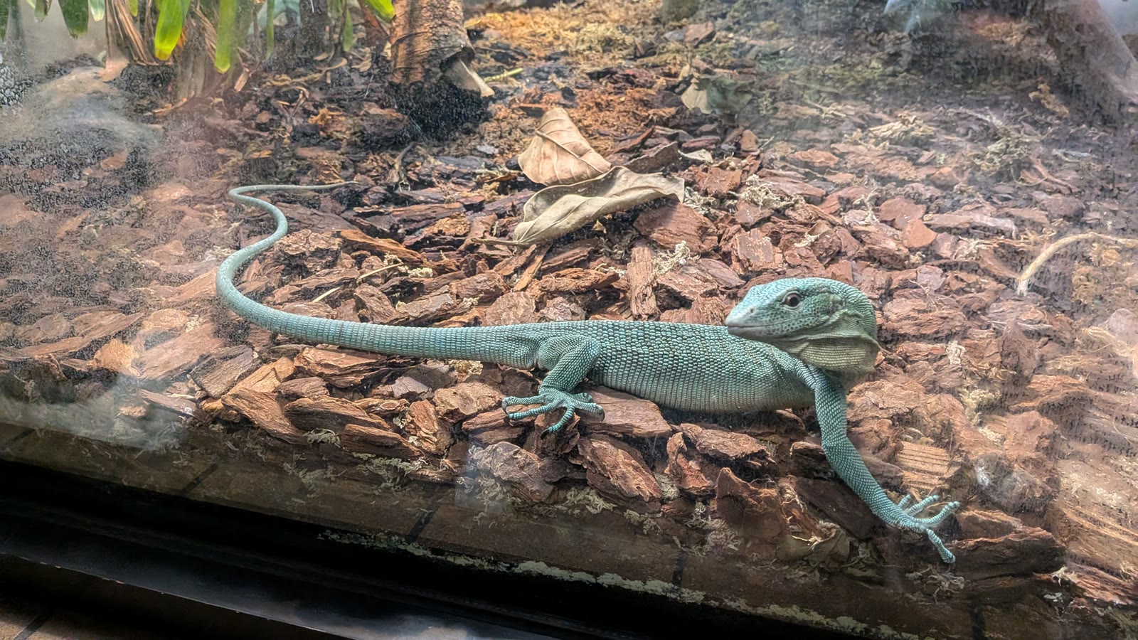 Zoo